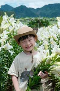福州限定浪漫！呢片高過人嘅百合花海藏唔住啦～