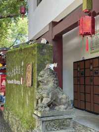 Wuyi Mountain: A Rain-Soaked Journey Full of Quiet Beauty