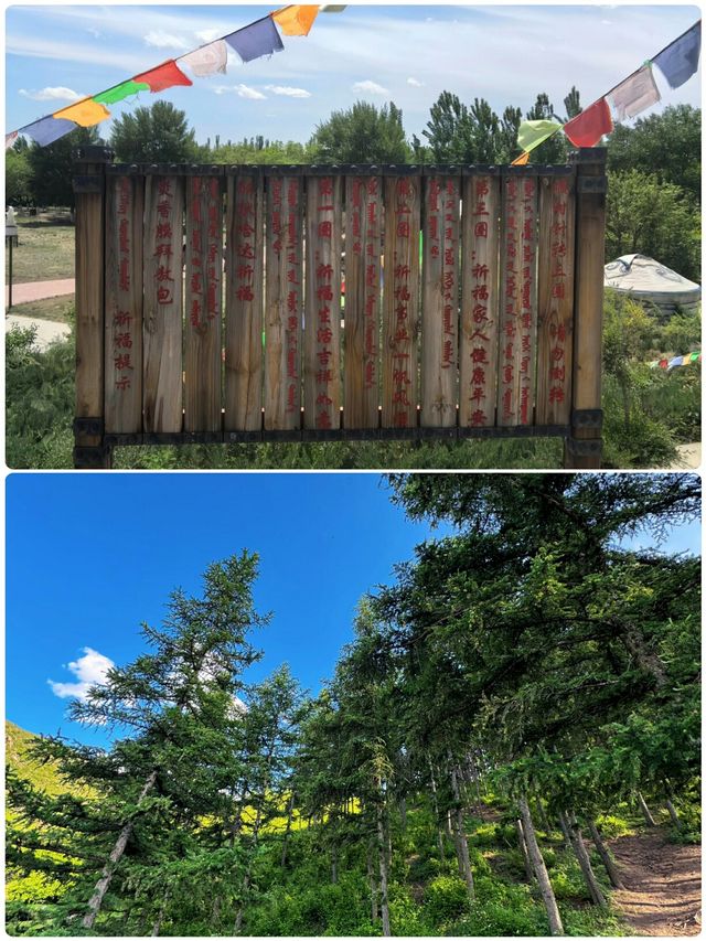 包头受罪已回，真係唔建議6月份嚟