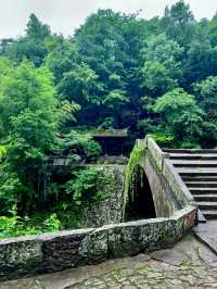 杭州出發半小時 江浙滬天選後花園