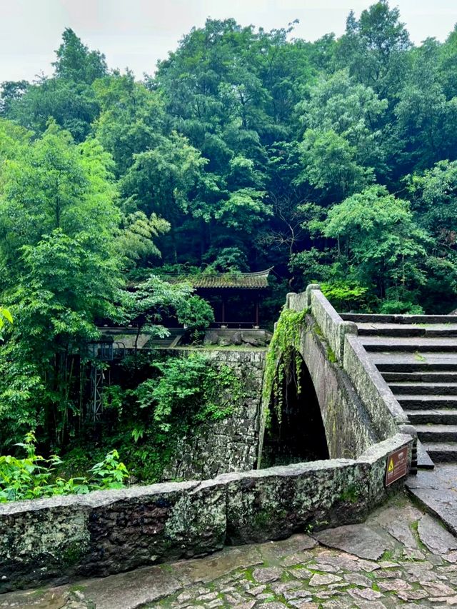 杭州出發半小時 江浙滬天選後花園