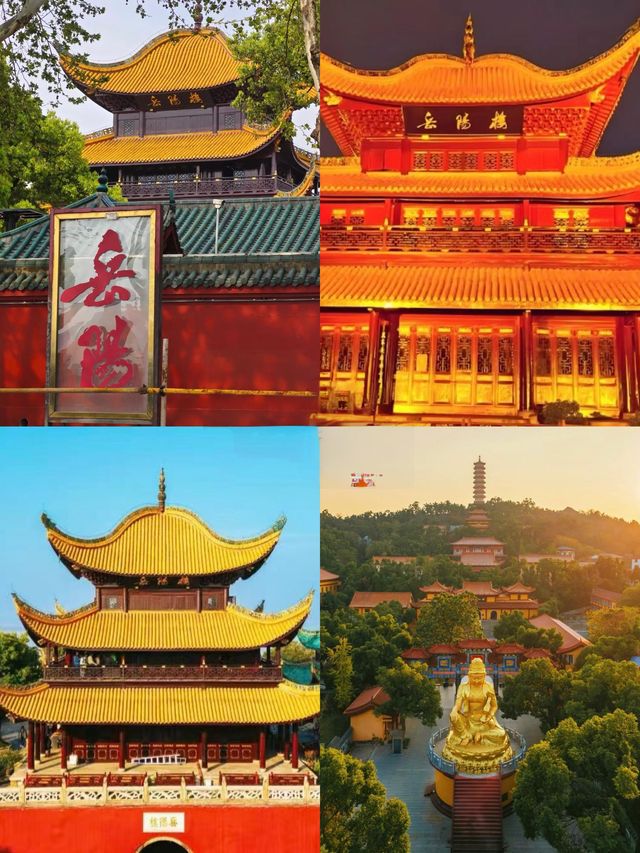 美很容易產生，只是缺乏發現美的眼睛