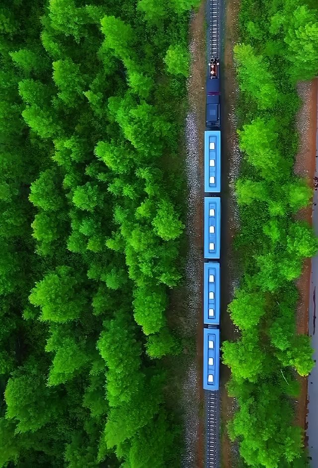 甘南旅遊攻略 | 一次洗滌心靈的高原之旅