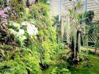 Wuhan Botanic Garden: Where Science, Conservation, and Botanical Splendor Converge