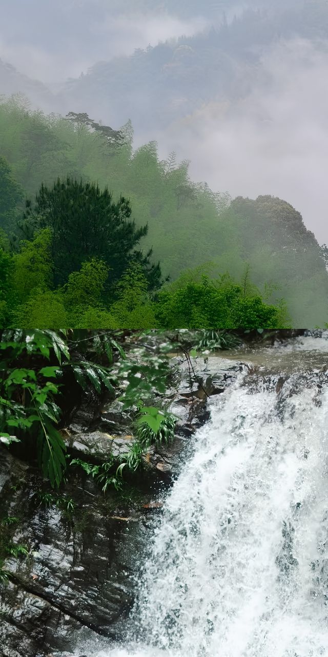【桂林·大坪塘】行山全攻略 | 新手友善