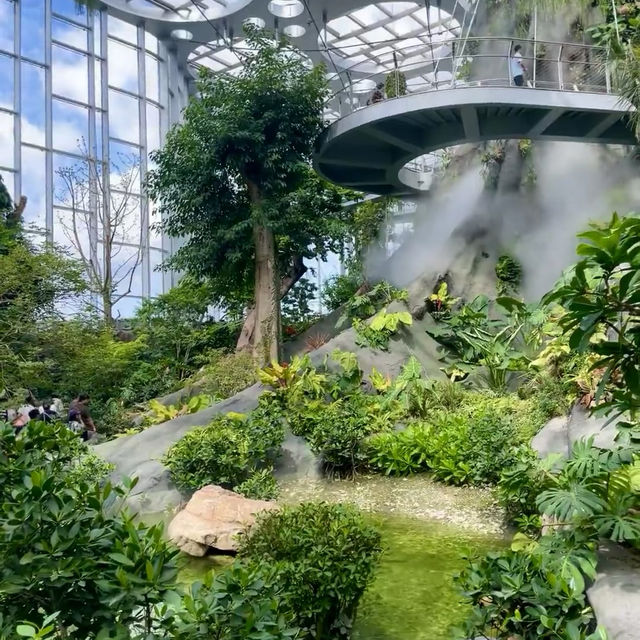 魔都綠野仙蹤｜亞洲最大溫室花園全攻略（含隱藏玩法）