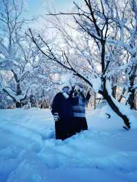 雪谷一間超級適合拍照的民宿！