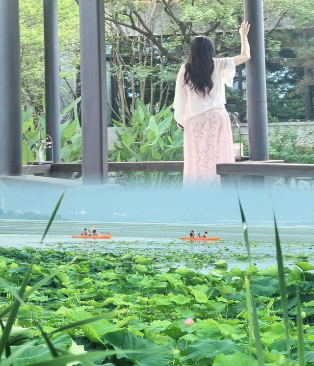 遠離暑氣！邂逅蘇州太湖邊嘅治癒系避暑之所