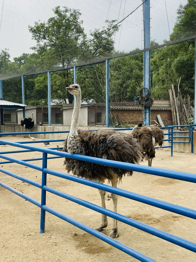 《太原》森林公園