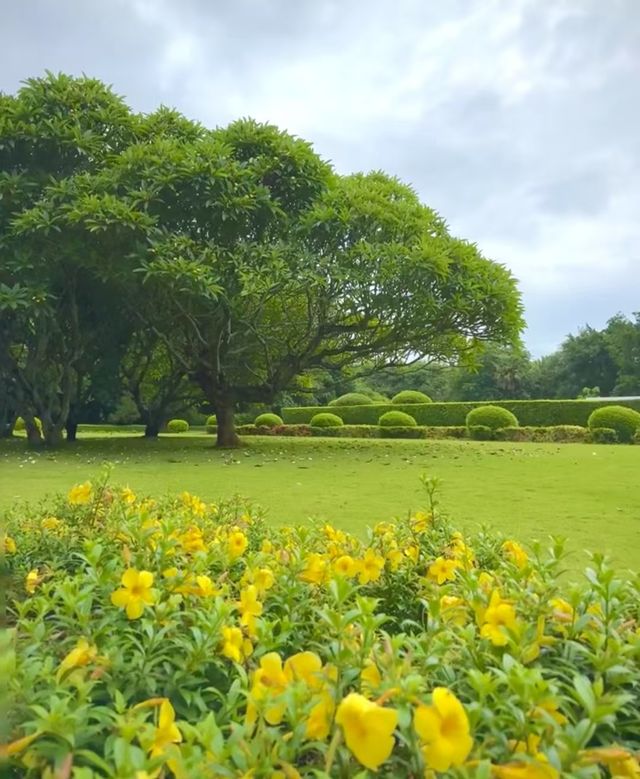 住星空之戀把熱帶植物搬進浪漫假期！