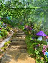 臨沂25℃幻夏秘境！躲進森林當仙女