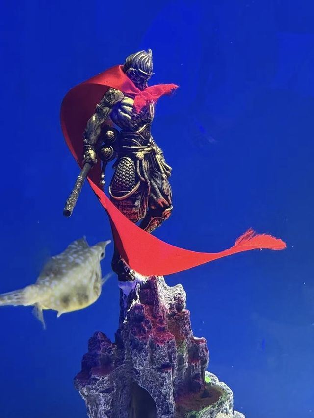 青島海底世界｜本地人私藏玩法！隨手拍都係深海大片