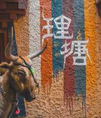 高原之城·理塘｜川西蜜月定制遊：循着倉央嘉措的詩行，邂逅天空之城的永恆