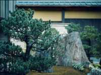 京都の古都情緒を満喫！平松京都酒店の魅力と宿泊ガイド】​​
