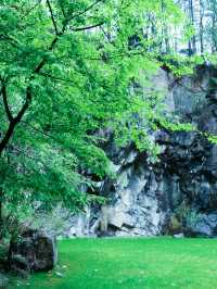 去森林治癒夏天！星空草坪音樂派對