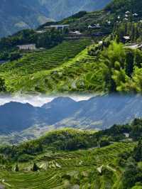 在雲和梯田，做一日山野逍遙客！
