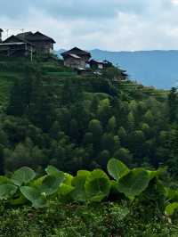 加榜梯田漫遊：在層層綠意裡拾光而行 