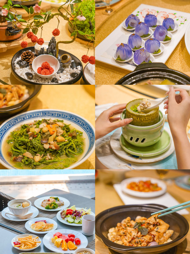 廣州三英溫泉度假｜一池暖泉，四季悠然