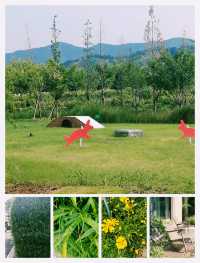 躲進山野享受慢時光~長興花間堂·沂水