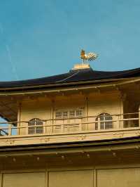 看過一次金閣寺，還想再看一萬次！