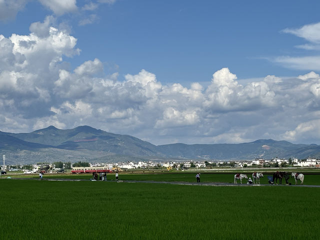 🌿麗江旅遊攻略｜3天2晚玩轉雪山古城，小眾機位+避坑指南📸
