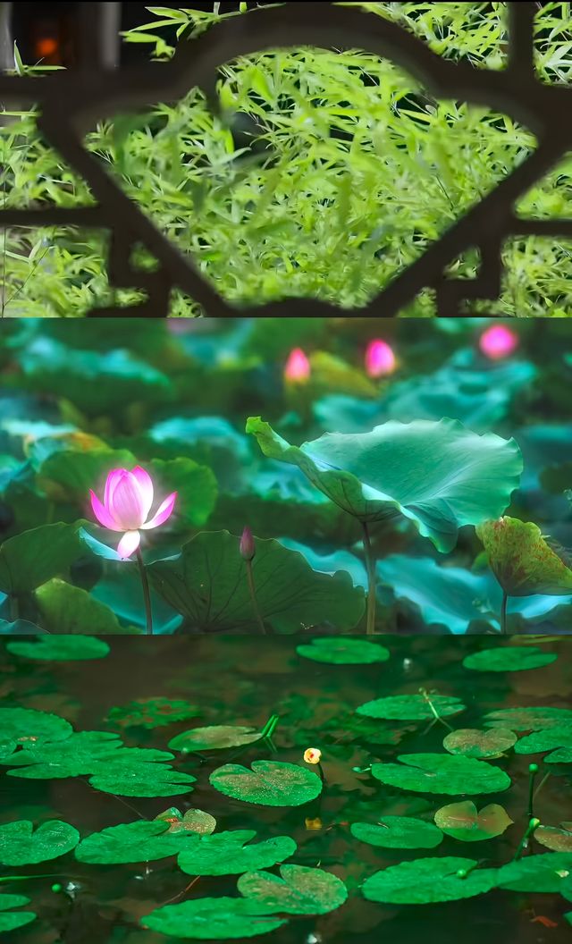 雨日姑蘇，園寂如詩