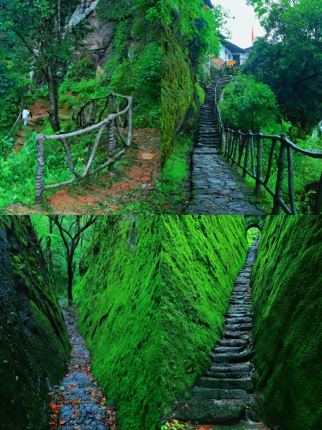 武夷山旅遊攻略 | 一場穿越山水與茶香的奇幻之旅