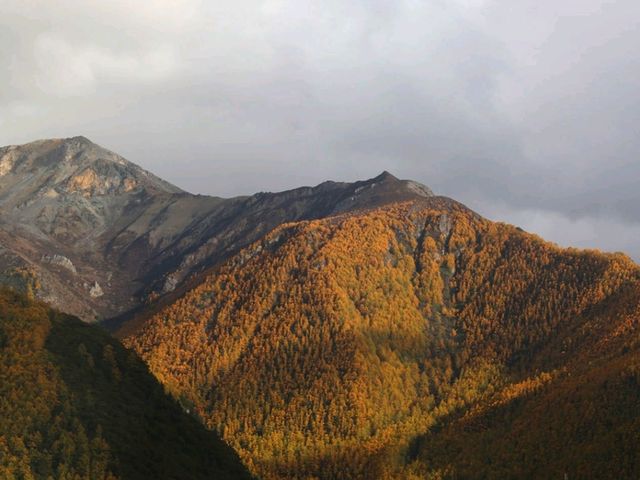 亞丁村：藏於神山之間的雲端秘境