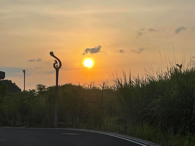 人少景靚，呢個地方太適合飲茶啦||江西吉安安福起鳳山礦坑公園