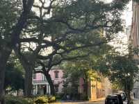 美國南方小鎮薩凡納 - 《阿甘正傳》取景地