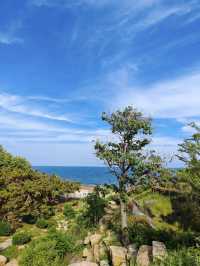 青島黃島區連三島親子遊攻略人少景靚仲免費!