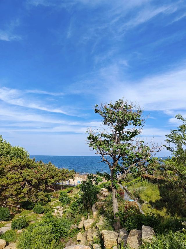 青島黃島區連三島親子遊攻略人少景靚仲免費! 青島黃島區連三島親子遊攻略人少景靚仲免費!