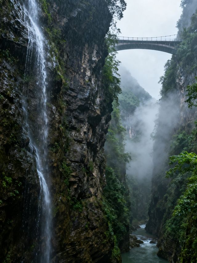 啱啱從涪陵自駕返嚟！武陵山秋景靚到窒息，避開90%人潮