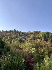 晨霧繚繞‧照金香山的紅色與蒼翠