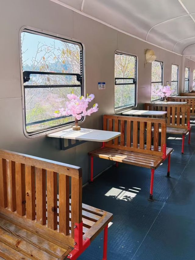 深圳南山citywalk|看海賞花超野超chilli! 深圳南山citywalk|看海賞花超野超chilli!