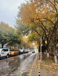 沈陽秋日私藏路線:將北國的溫柔融入旅途