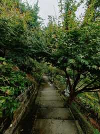 四川瀘州金龍寺藏在山間的禪意秘境