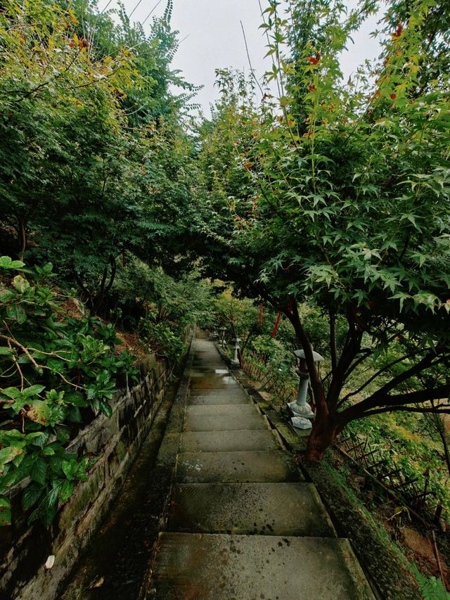 四川瀘州金龍寺藏在山間的禪意秘境 四川瀘州金龍寺藏在山間的禪意秘境
