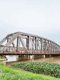 🌿 Kedah's Old Railway Bridge: Where History Meets Wild Beauty! 🛤️