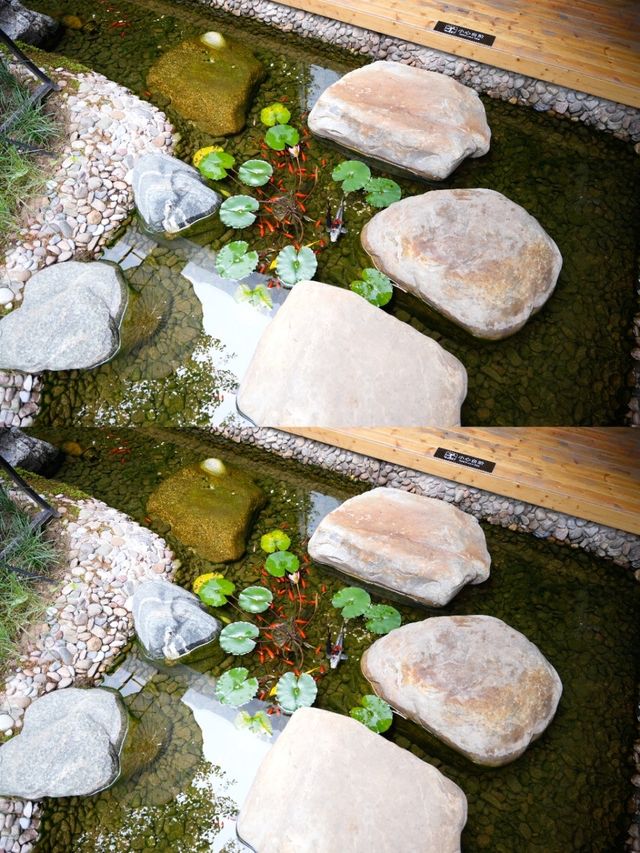 秋遊住獨棟別墅鹿鳴別院，看盡四季花，玩遍十三朝