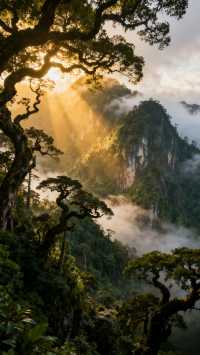 世界瑤都秘境,原生態的旅遊聖地