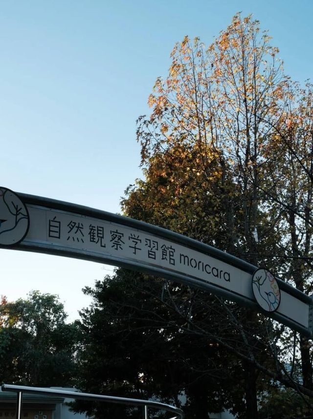 原以為京都已經夠美了,直到我來了大阪…… 原以為京都已經夠美了,直到我來了大阪……