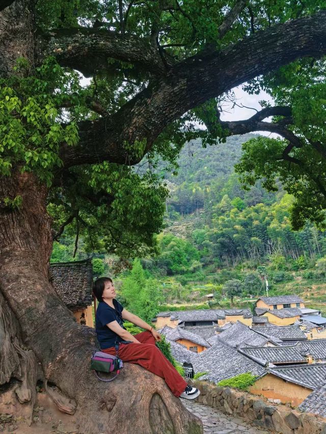 秘境古宅尋寶記 秘境古宅尋寶記