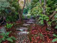 Solo in a Hidden Vancouver Gem: The Momiji Garden at Hastings Park