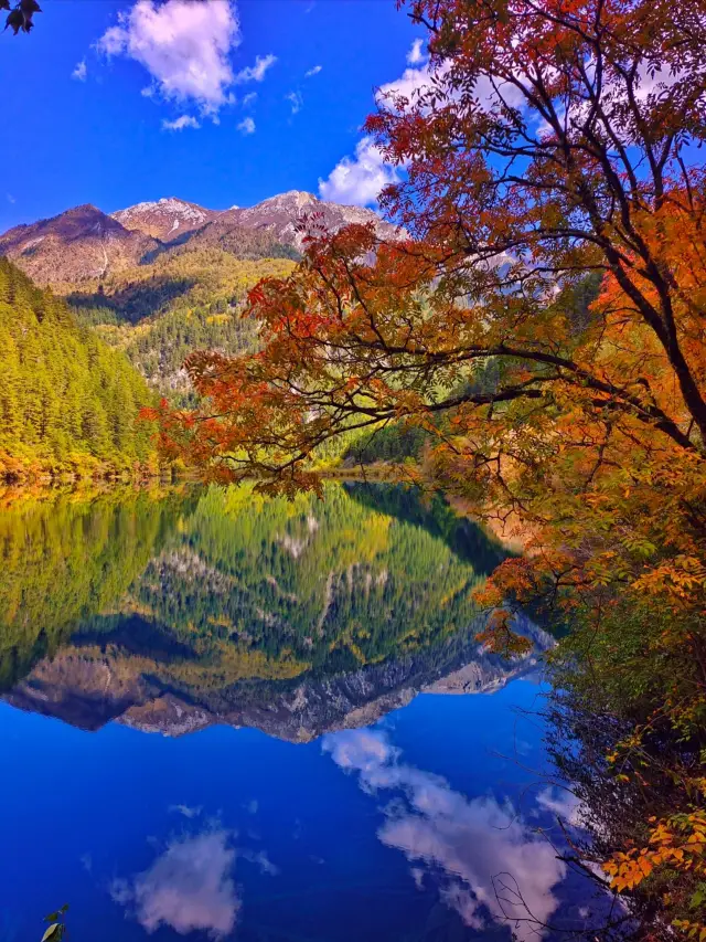 Top 5 Jiuzhaigou Colorful Forest Spots, 99% Miss the Last One!