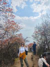 秋日圭峰山徒步攻略