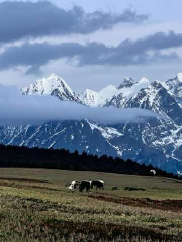 香格里拉1日包車遊玩遍精華點