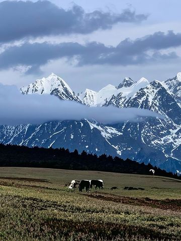 香格里拉1日包車遊玩遍精華點 香格里拉1日包車遊玩遍精華點