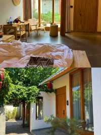 忻州古城挖到神仙小院!連住3天哭著不想走