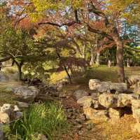  청도의 가을, 이 공원에서 모든 걱정이 사라졌어요 🍂